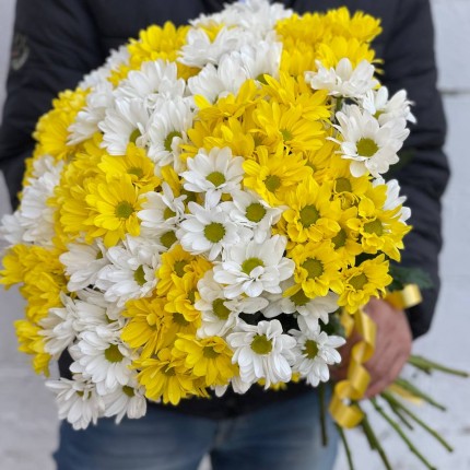 Букет из разноцветных хризантем - купить с доставкой в по Жуковскому